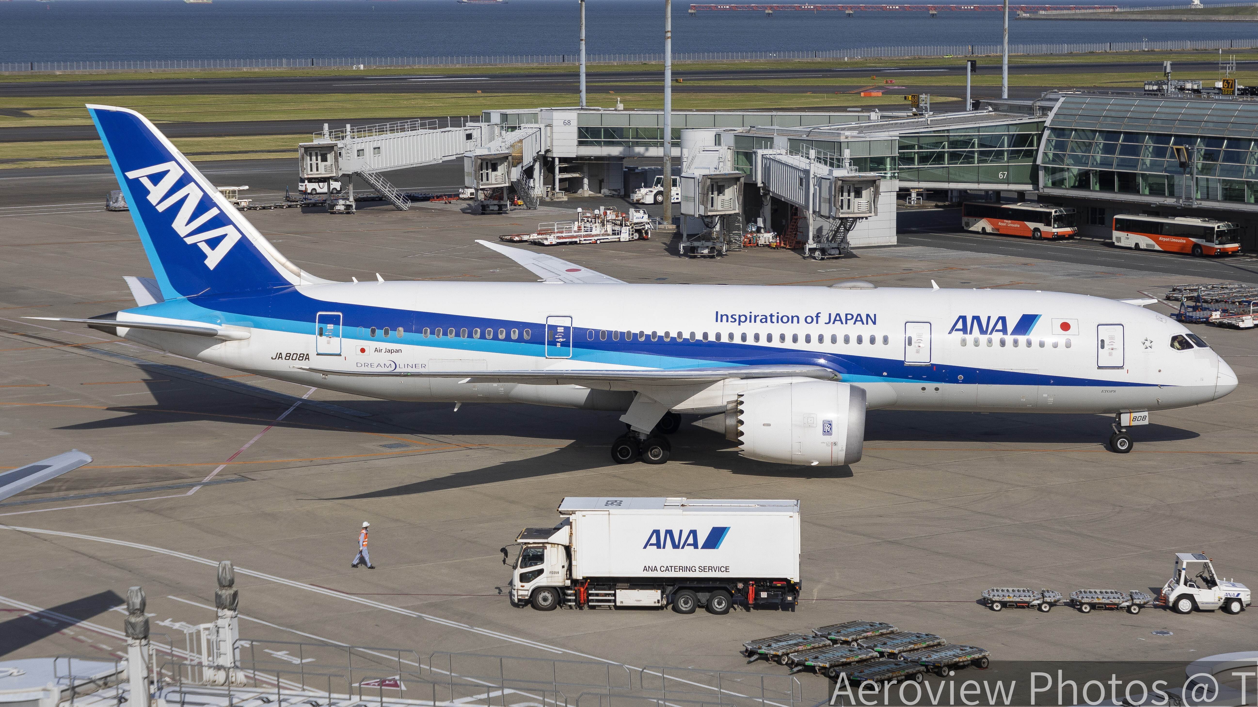 ANA Boeing 787-8 Dreamliner