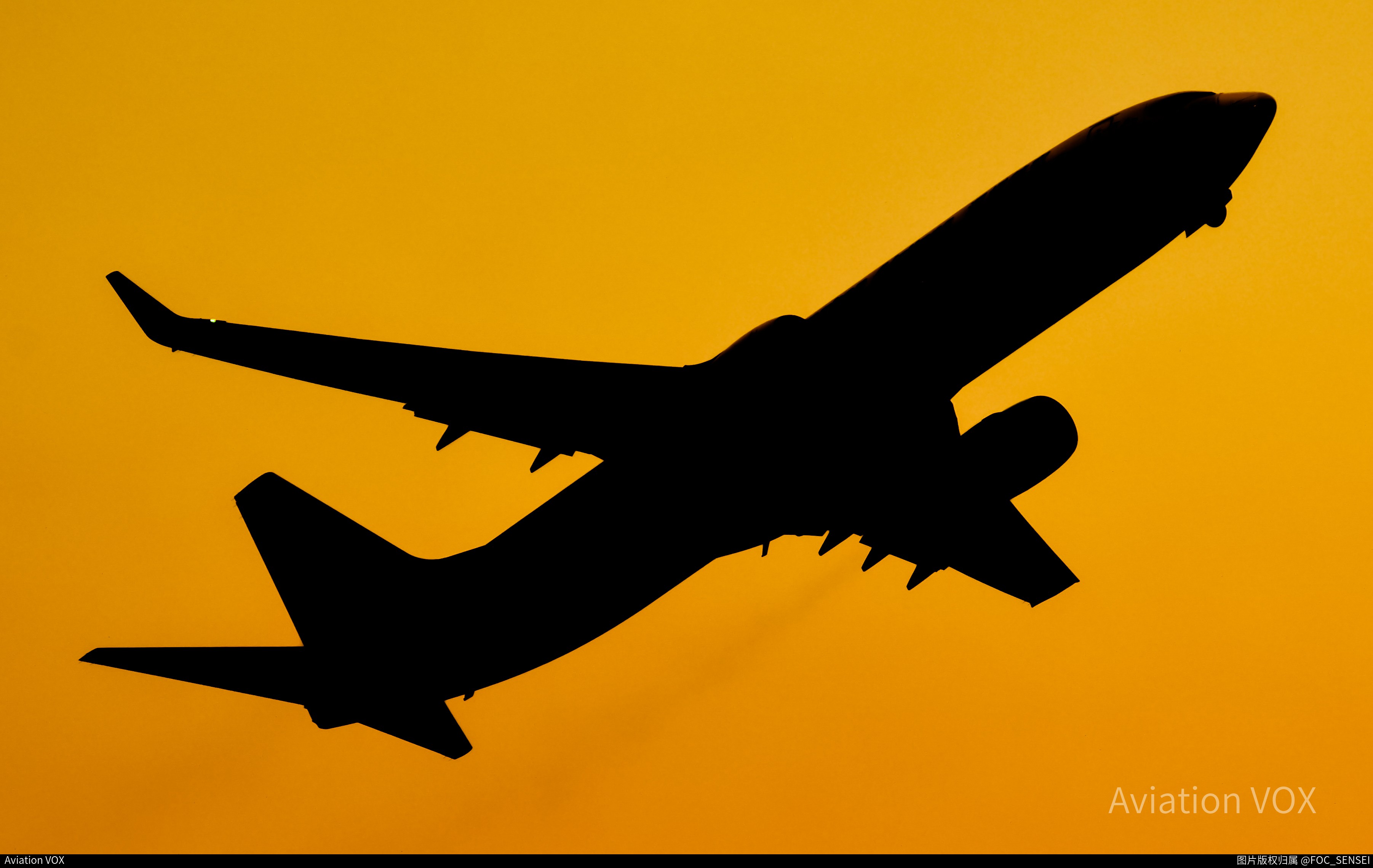 深圳航空 B737-87L(WL)